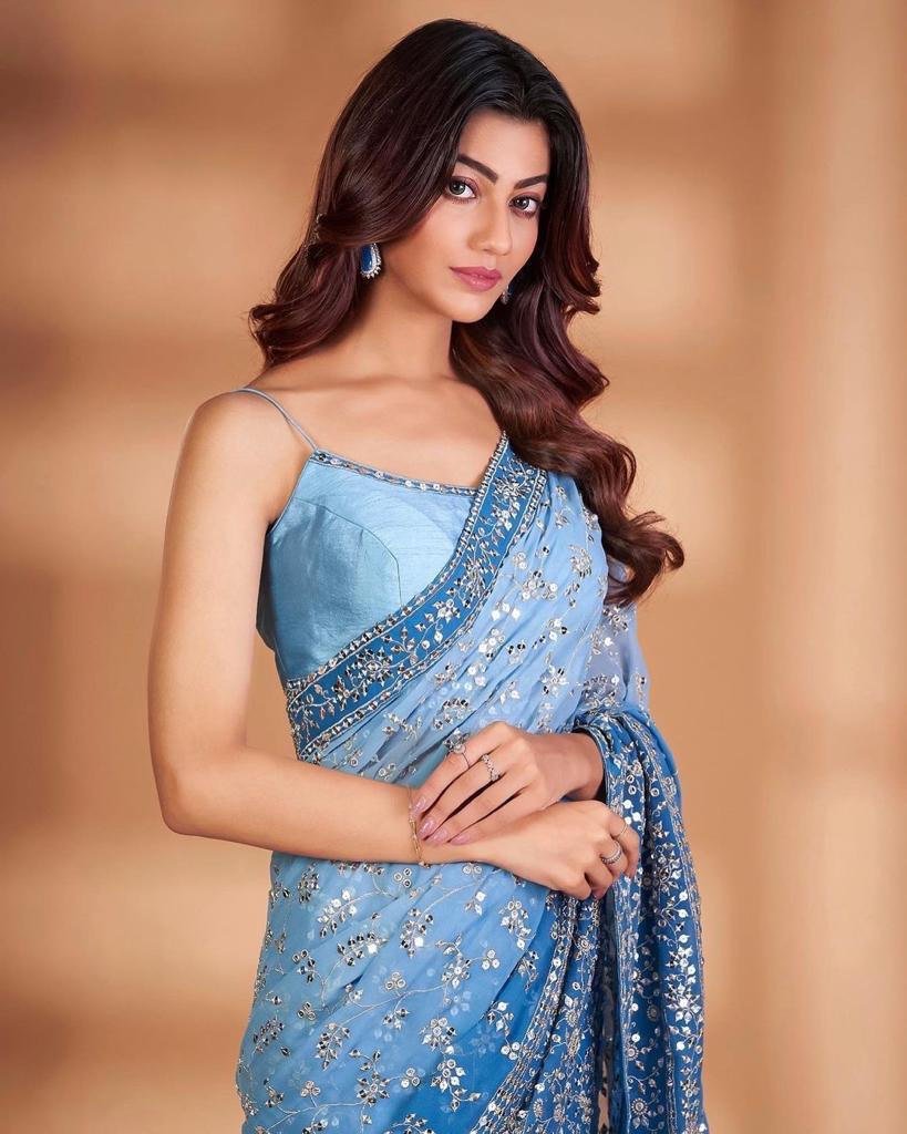 Sky Blue Georgette Saree with Heavy Embroidery