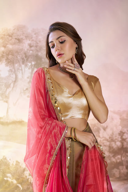 Pink Color twill net saree with designer lace and unstitched blouse