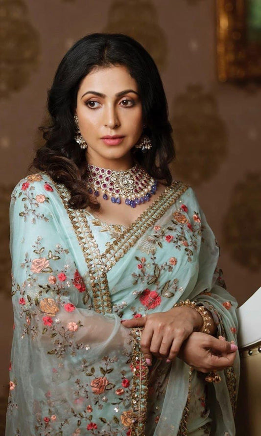 Aqua Sky Blue Organza Silk Multi Embroidery Work Saree