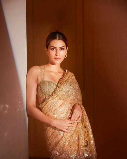 Bollywood Beautiful Amazing Party Wear Gold Saree