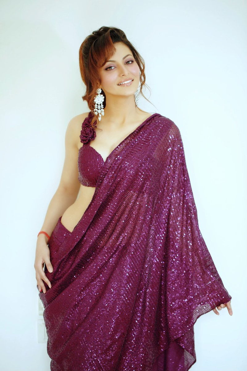 Urvashi Rautela In A Dark Purple Sequin Saree – Anarkalion